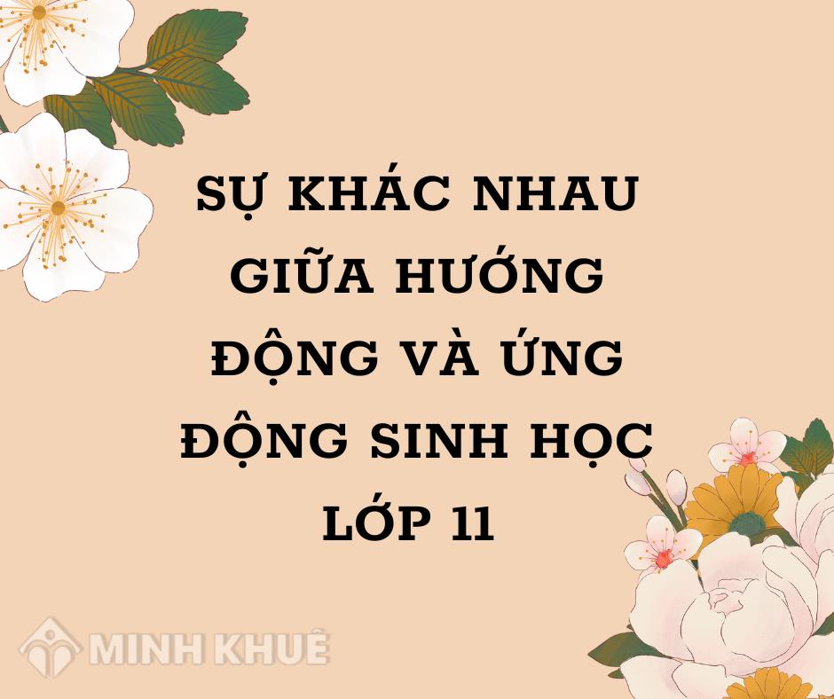 So sánh hướng động và ứng động Gallery 2