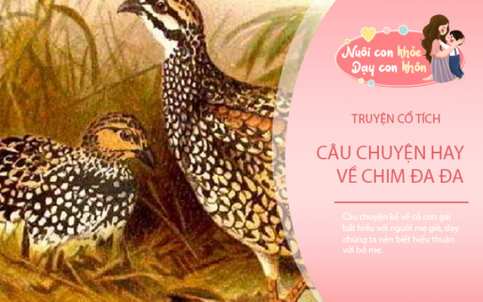 Sự Tích Chim Đa Đa: Tình Yêu Chung Thủy Và Sự Hi Sinh Cao Cả Gallery 2