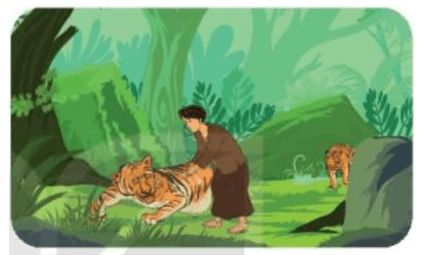 Ý nghĩa của con hổ