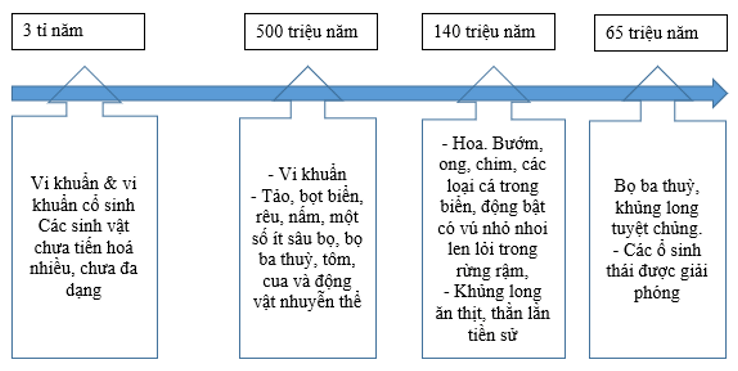 Tóm tắt Văn bản Sự sống và cái chết