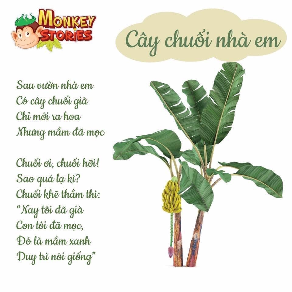 Bài Thơ Cây Chuối Nhà Em Gallery 1