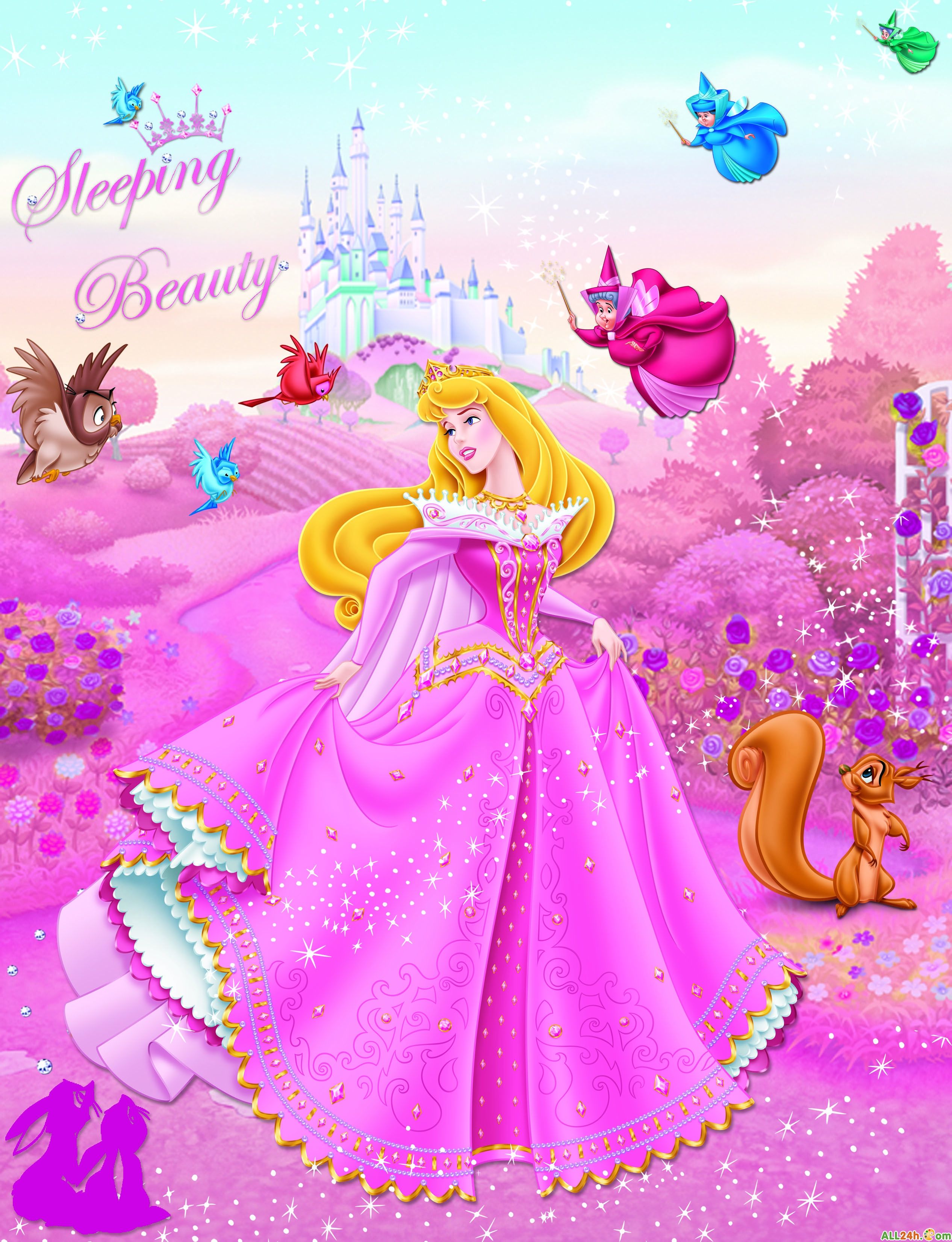 Hình ảnh Công chúa ngủ trong rừng Gallery 2