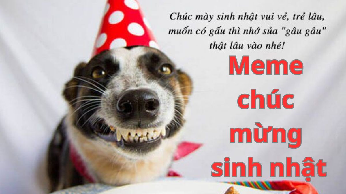 Meme Chúc Mừng Sinh Nhật Hài Hước: Tổng Hợp Những Meme Siêu Bựa Gallery 1