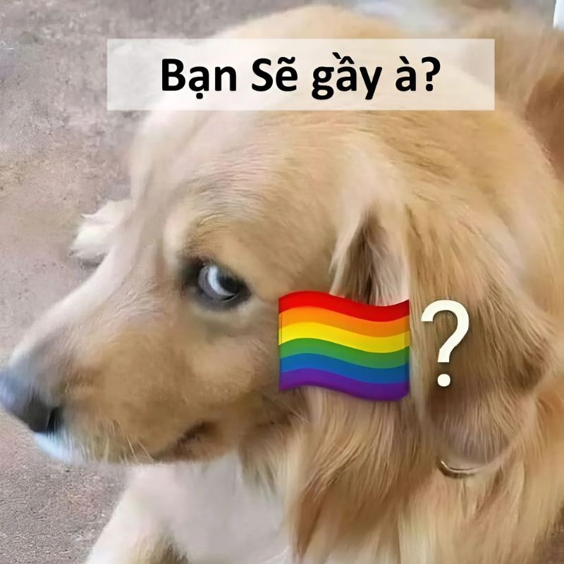 Sẽ Gầy Meme Con Gái Gallery 1