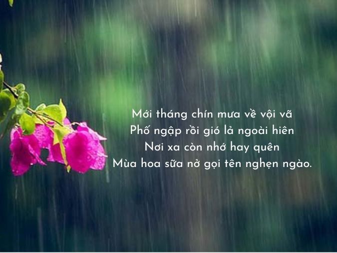 Thơ Về Trời Mưa: Những Giọt Mưa Trong Thơ Ca Gallery 2