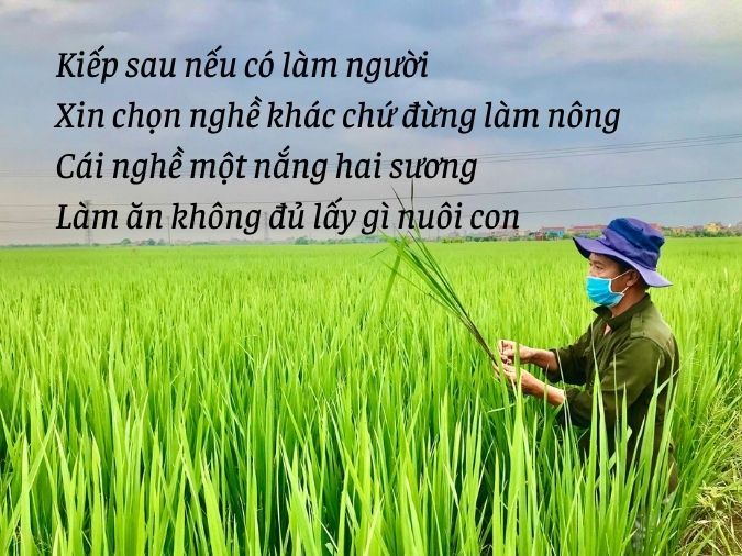 Thơ Ngắn Về Công Việc: Lời Tâm Sự Của Người Lao Động Gallery 1