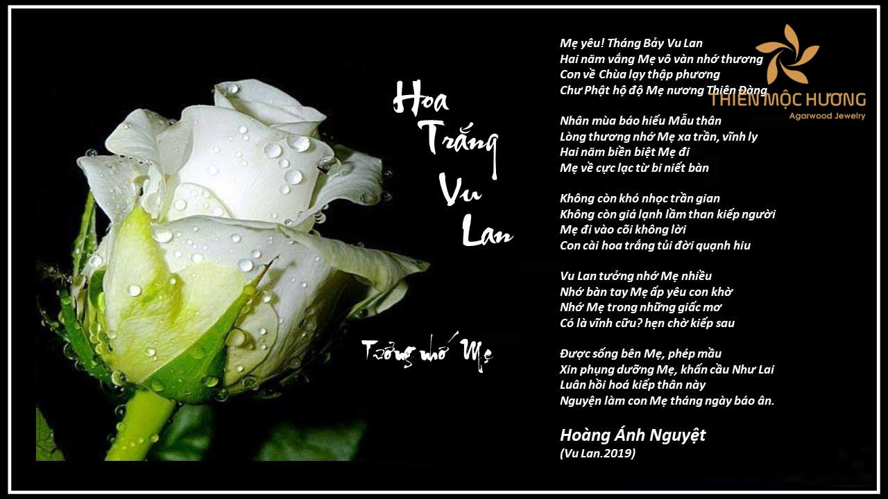 Thơ Vu Lan Nhớ Mẹ: Những vần thơ xúc động về tình mẫu tử Gallery 1