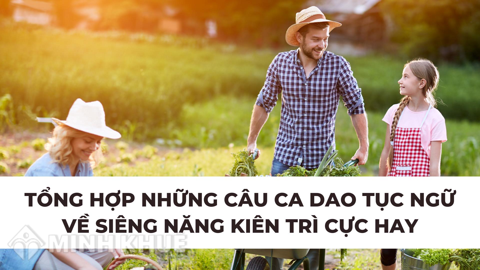 Những Câu Ca Dao Tục Ngữ Về Siêng Năng Kiên Trì Gallery 1