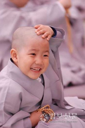 Hình Chú Tiểu Ngộ Nghĩnh: Tổng Hợp Hình Ảnh Đáng Yêu Nhất Gallery 2