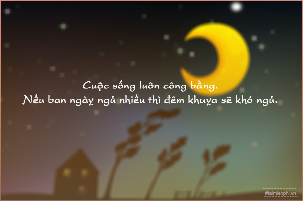 STT Mất Ngủ Hài Hước: Khi Đêm Về, Cười Cho Vơi Nỗi Buồn Không Ngủ Gallery 1