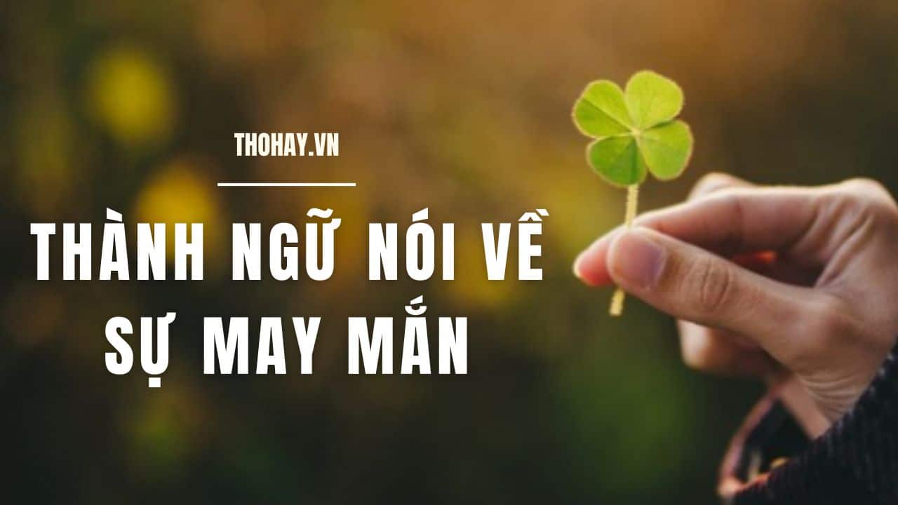 Thành Ngữ Nói Về Sự May Mắn Gallery 1
