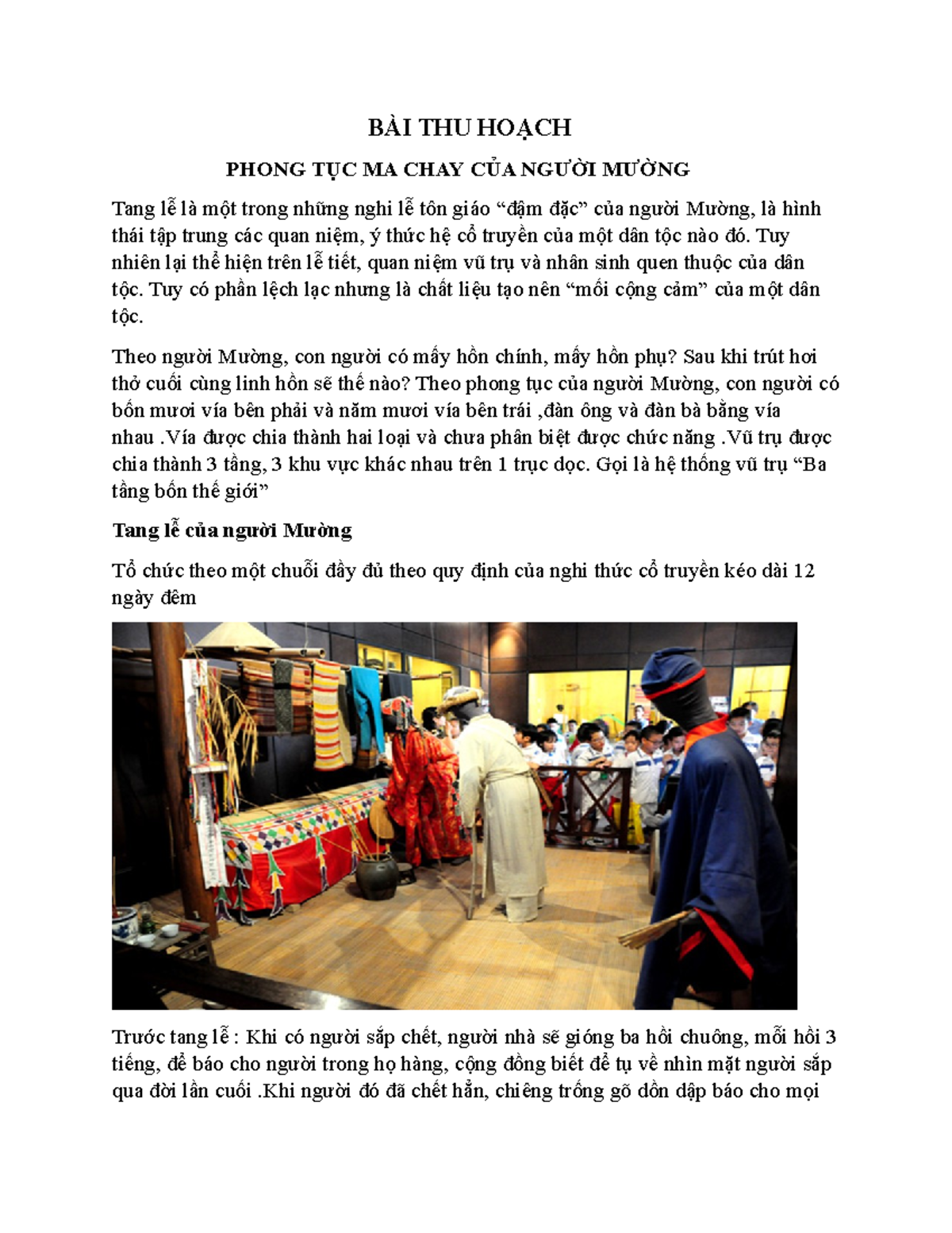Bài Thu Hoạch Đi Bảo Tàng Dân Tộc Học Gallery 2