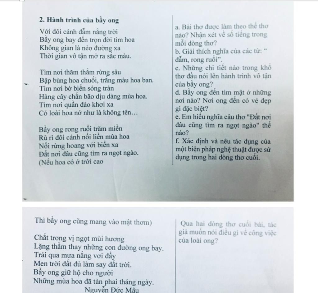 Cảm thụ bài thơ Hành trình của bầy ong khổ thơ cuối Gallery 2