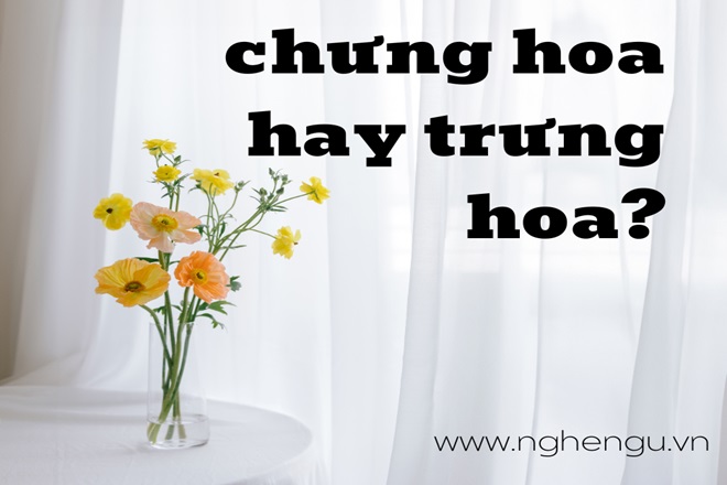 Trưng hoa hay chưng hoa? Gallery 2