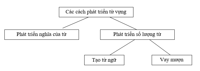 Tổng Kết Từ Vựng Tiếng Anh Lớp 9