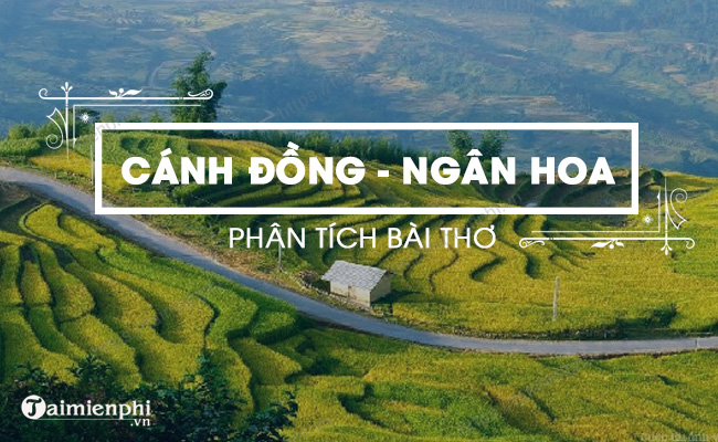 Phân tích bài thơ Cánh đồng của Ngân Hoa Gallery 1