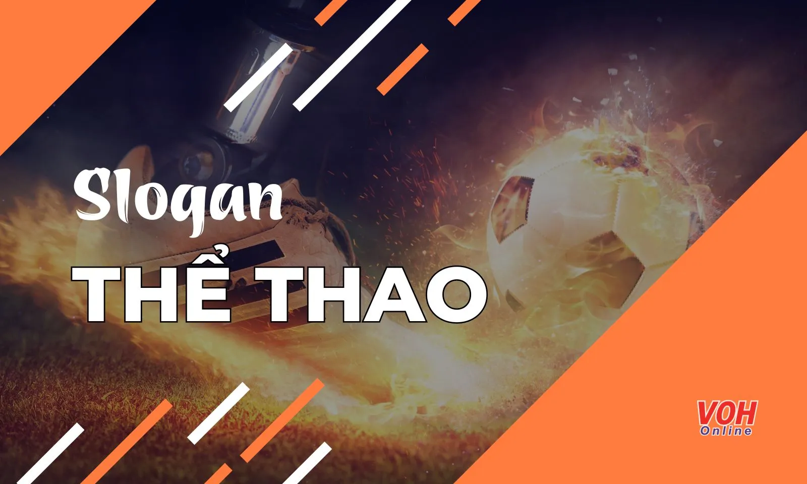Slogan Thể Thao Chất: Những Câu Nói Hay Nhất Lấy Cảm Hứng Từ Thể Thao Gallery 1