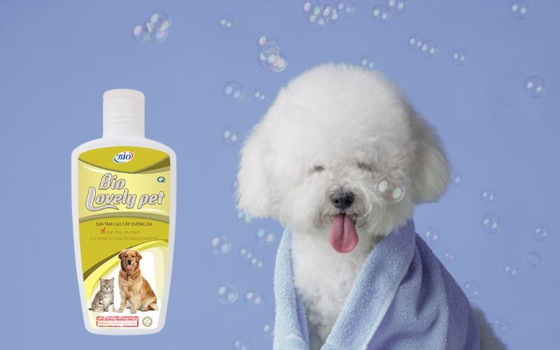 Sữa Tắm Cho Chó Poodle Trắng: Bí Quyết Giữ Bộ Lông Xù Mượt Mà Trắng Sáng Gallery 2