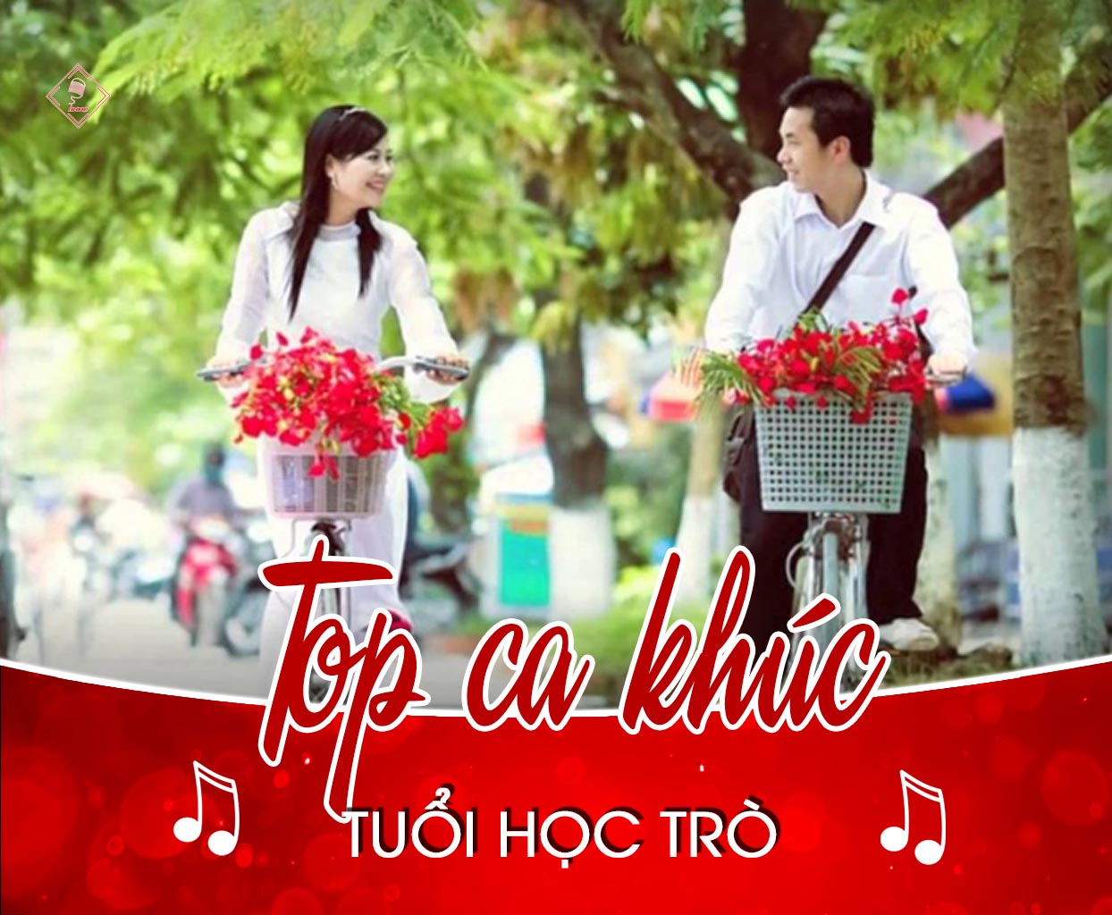 Những Bài Hát Hay Về Tình Bạn Tuổi Học Trò Gallery 1