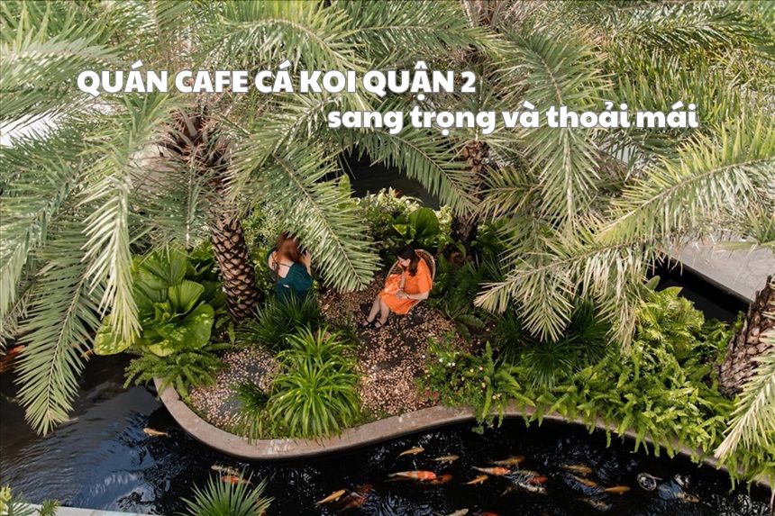 Cà phê cá Koi Quận 2: Trải nghiệm thư giãn tuyệt vời Gallery 1
