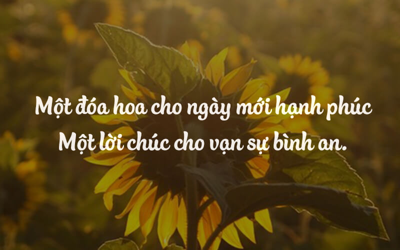 Tốt lành, May mắn, Hài hước, Hiểu rõ ràng, Ổn thỏa, Bình an