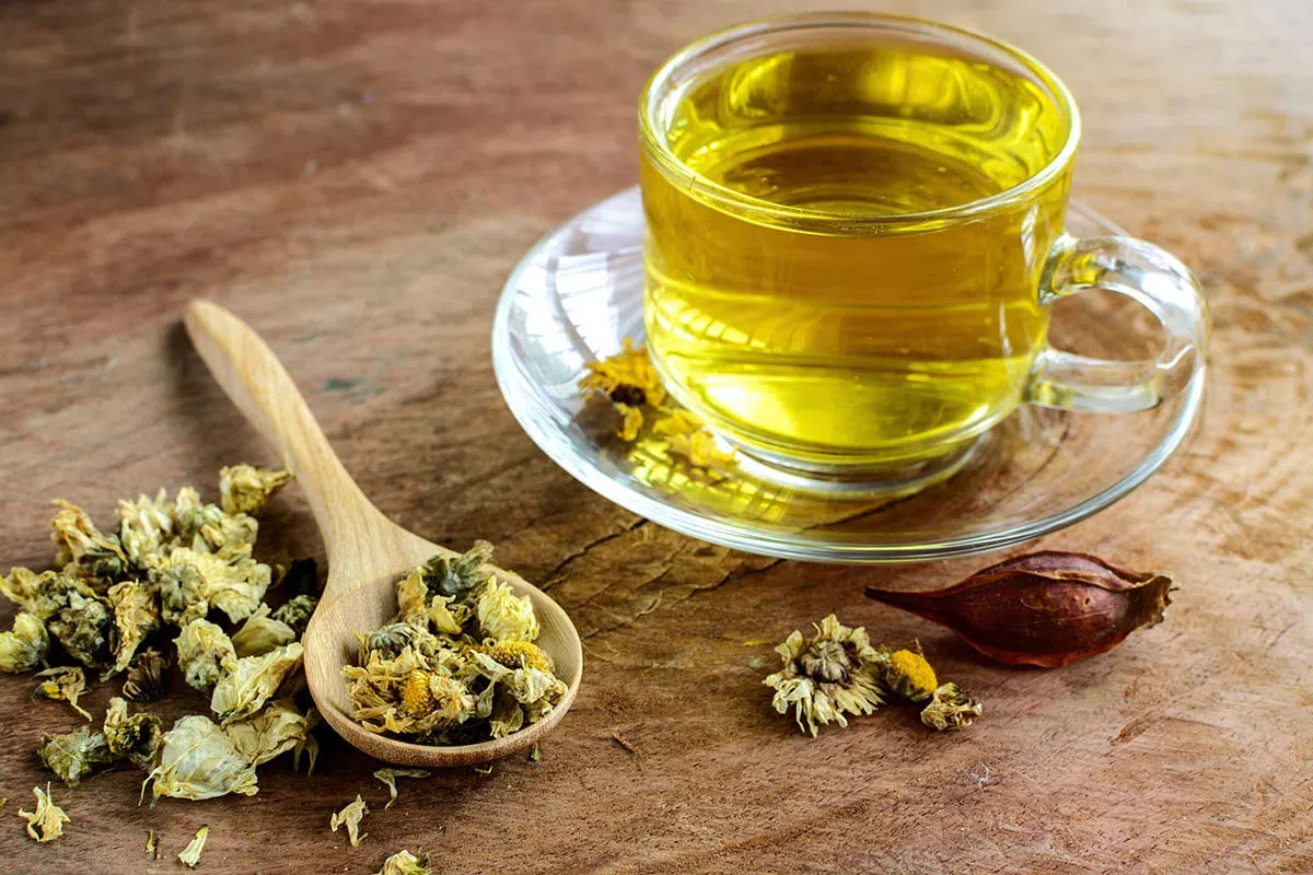 Trà Bông Cúc Có Tác Dụng Gì?