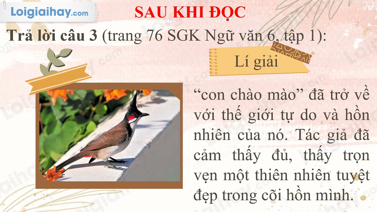 Bài Con Chào Mào Lớp 6