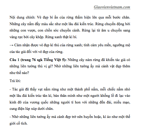 Câu Trả Lời Bài Kì Diệu Rừng Xanh Chi Tiết