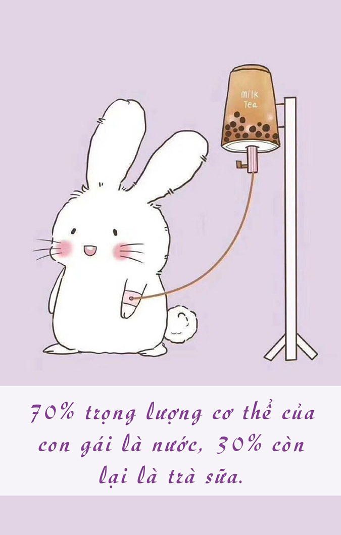 Trà sữa hài hước: Những câu nói bá đạo và hình ảnh chế cười ra nước mắt