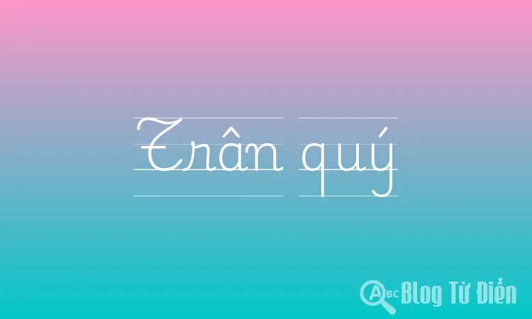Traân Quý Là Gì? Ý Nghĩa Và Cách Traân Trọng Cuộc Sống