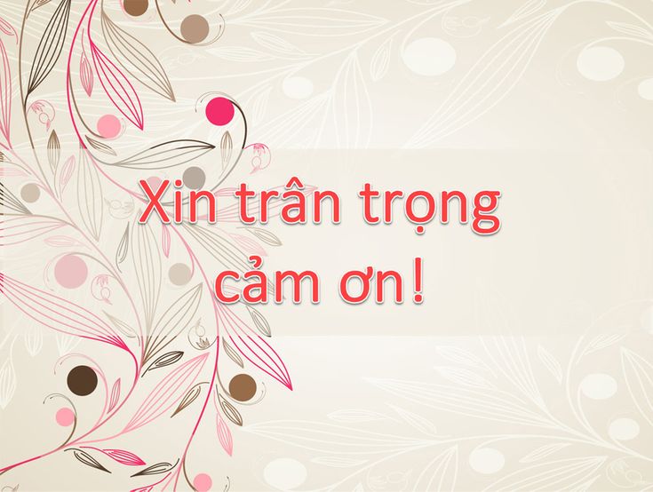 Traân Trọng Cảm Ơn: Cách Biểu Đạt Lòng Biết Ơn Thật Sự