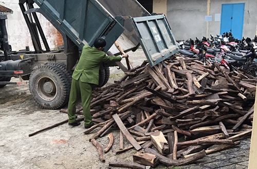Trắc Chở là gì? Giải đáp thắc mắc về Trắc Chở