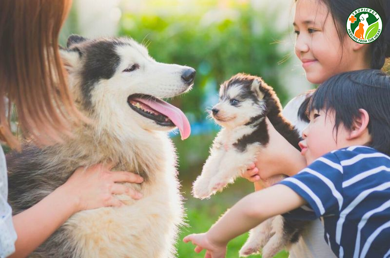 Vật nuôi thú cưng: Thế giới đầy màu sắc của tình bạn và trách nhiệm Gallery 2