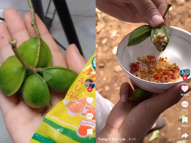 Trái Bàng Non Ăn Được Không?