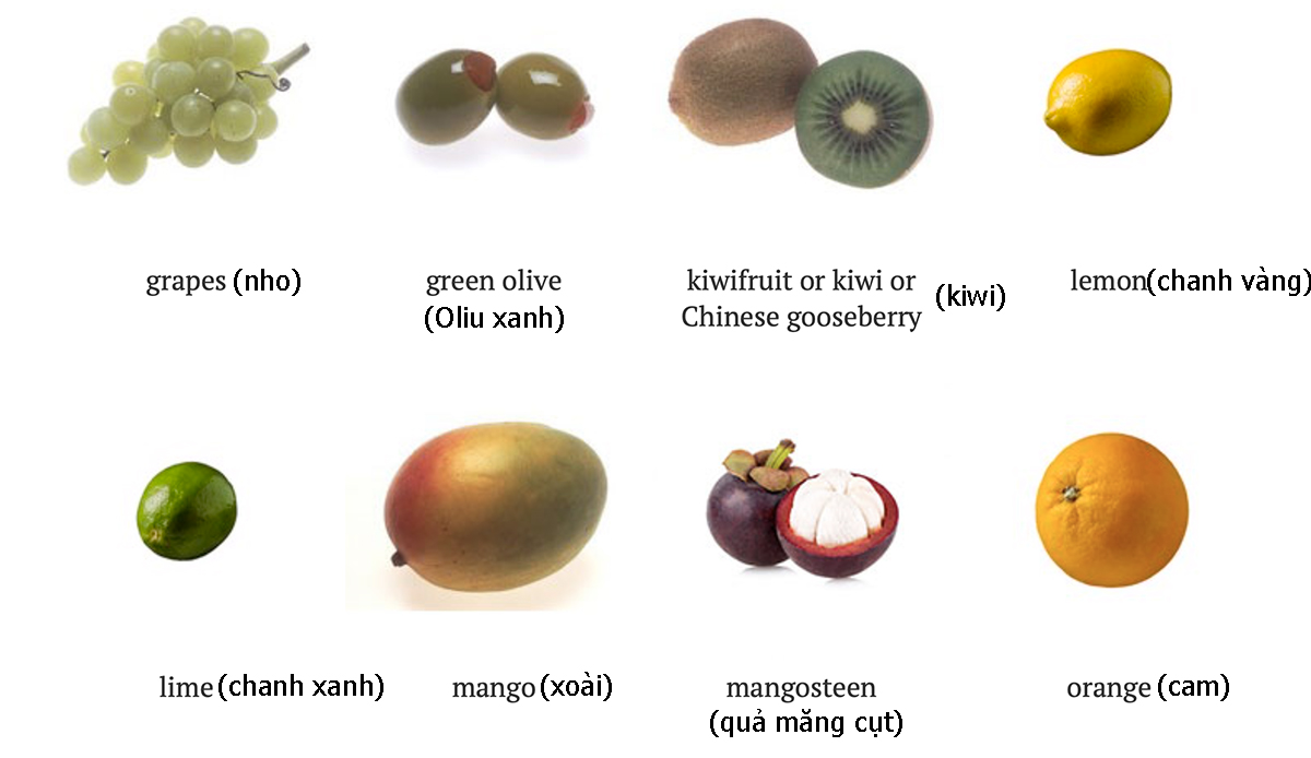 Mangosteen: The Purple Jewel of Southeast Asia