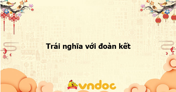 Trái nghĩa của đoàn kết là gì? Gallery 2