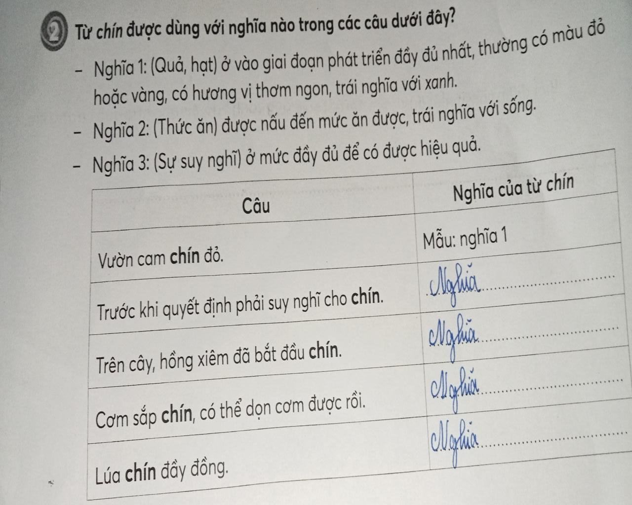Trái nghĩa với lúa chín là gì? Gallery 2