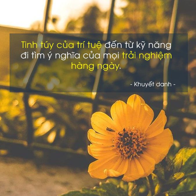 Những Câu Nói Hay Về Trải Nghiệm Gallery 1