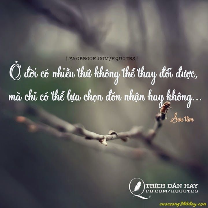 Những Trâm Ngôn Cuộc Sống Hay và Ý Nghĩa Nhất Gallery 2