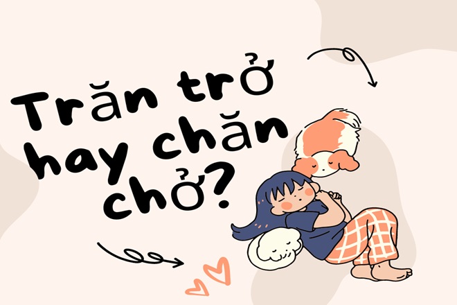 Trăn chở là gì? Tìm hiểu về loài bò sát này
