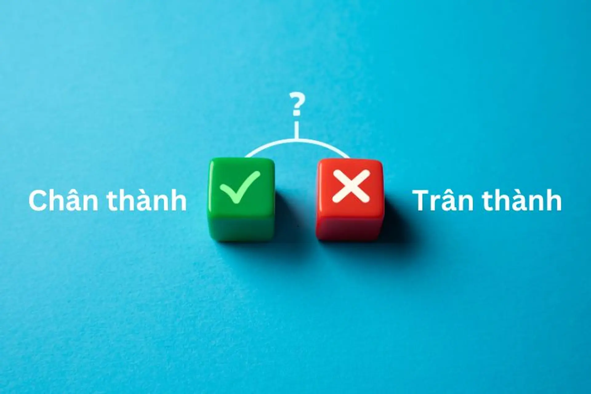 Trân Thành Là Gì? Gallery 2