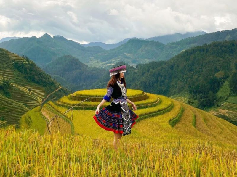 Trang Chải Là Gì? Hướng Dẫn Sử Dụng Và Lựa Chọn