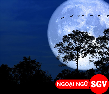 Trăng Hôm Nay Đẹp Quá Gallery 1