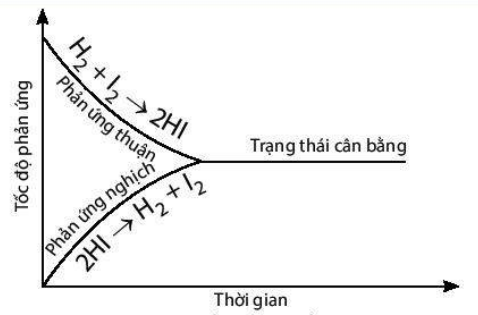 Trạng Thái Cân Bằng Là Gì?