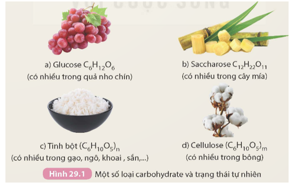 Tính chất vật lý của Saccarozơ Gallery 1