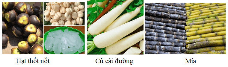 Trạng thái tự nhiên của Saccarozo