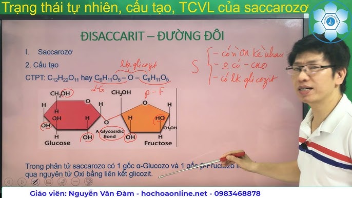 Trạng thái tự nhiên của Saccarozo Gallery 2