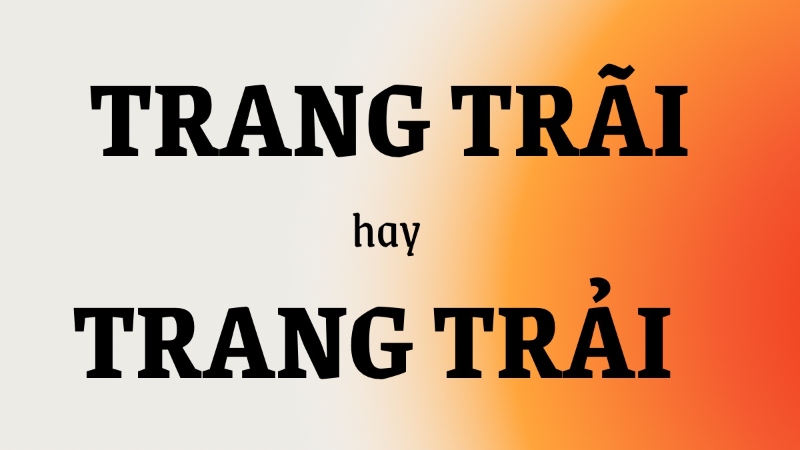 Trang Trãi: Khám Phá Thế Giới Trải Nghiệm Tuyệt Vời