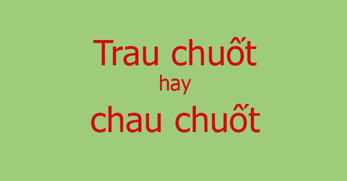Trao Chuốt Là Gì? Hướng Dẫn Chi Tiết