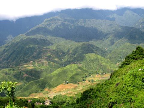Trập trùng là gì?